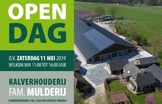 Open+dag+ros%26eacute%3Bstal+van+1%2E000+kalveren