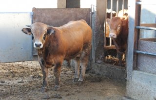 Eerste beperkingszone in zuiden Frankrijk opgeheven