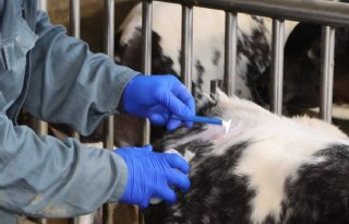 Kleine fouten, grote gevolgen