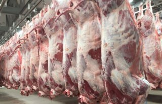 Hygi%26euml%3Bne+slachterijen+kan+beter