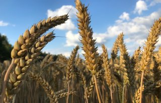 Kamer wil herbeoordeling eco-aanvragen na golf afwijzingen