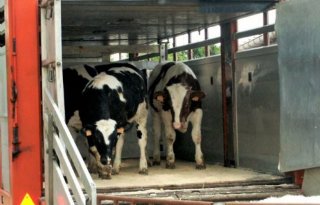 Vee%26Logistiek+maakt+bezwaar+tegen+openbaar+maken+boetes