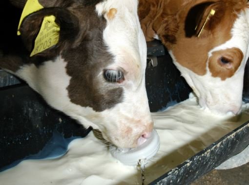 Vernieuwde berekening antibioticagebruik