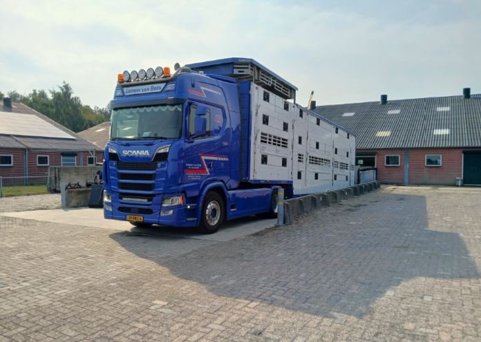 ‘Laden zonder veeprikker is mogelijk’