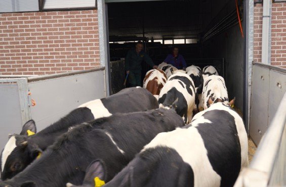 Rust tijdens laden in plaats van prikken